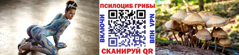 Галлюциногенные грибы Cubensis  Грязи 