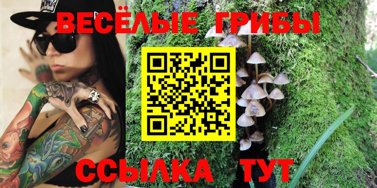 Галлюциногенные грибы Magic Shrooms Грязи