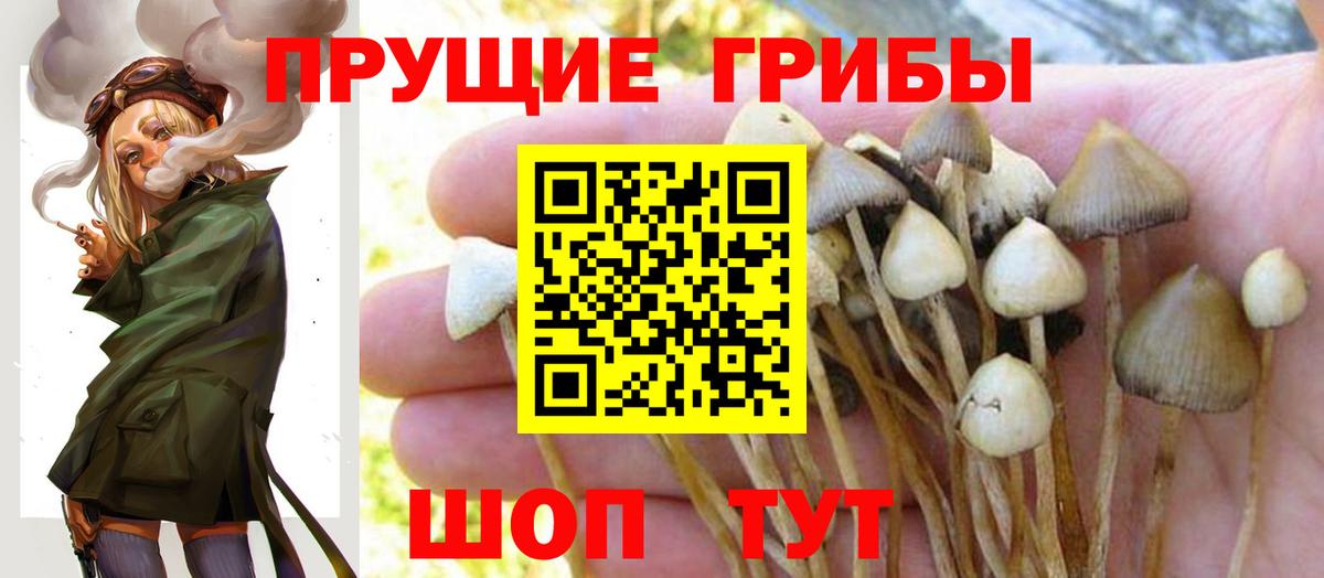 Галлюциногенные грибы мухоморы  Вход с VPN  Грязи 